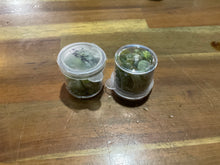 Load image into Gallery viewer, Stone Small Container