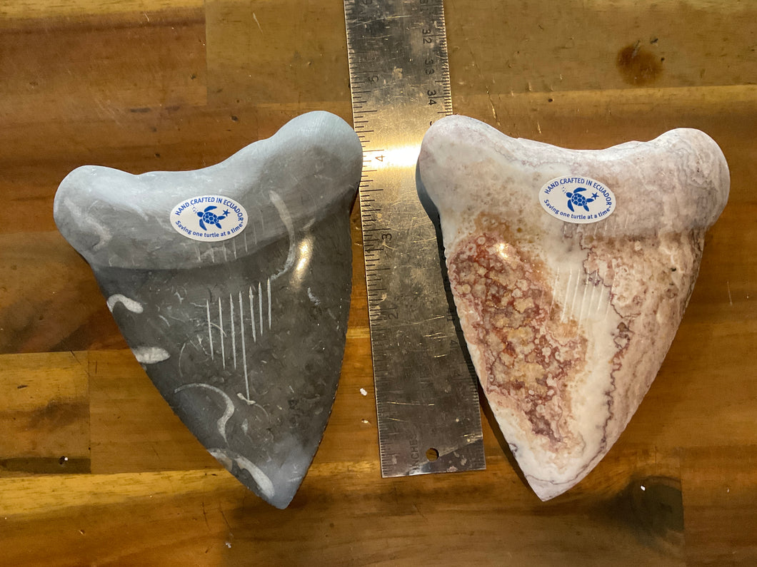 4” Marble Megaladon Tooth