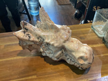 Load image into Gallery viewer, Dragon Head Iceland Spar Jasper
