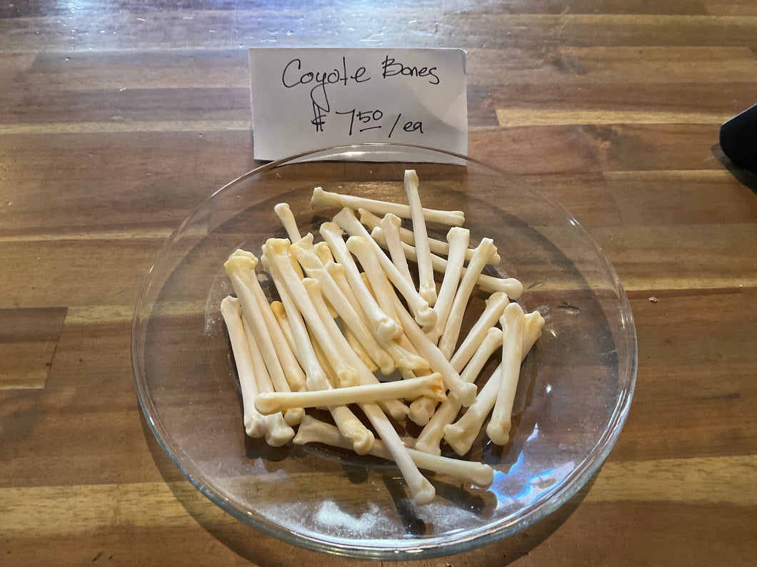 Coyote Bones