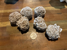 Load image into Gallery viewer, Desert Rose
