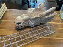 Load image into Gallery viewer, Dragon Head Iceland Spar Jasper
