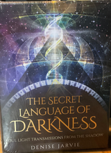 Load image into Gallery viewer, The Secret Language of Darkness
