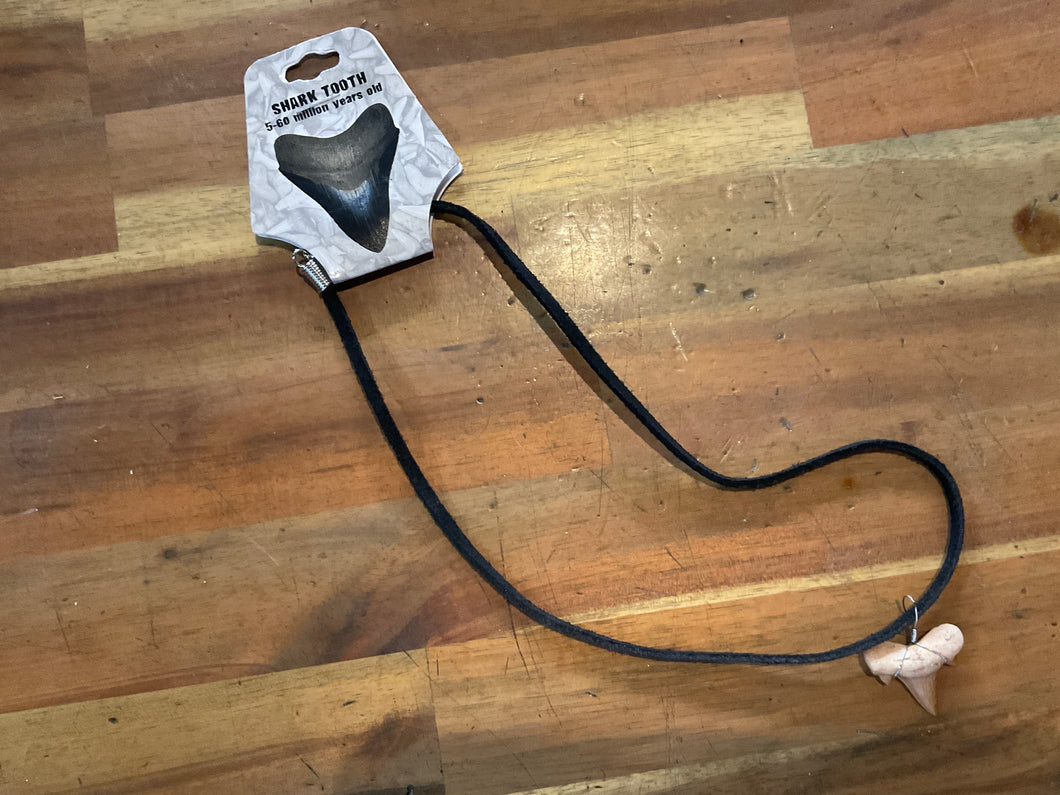 Shark Tooth Necklace