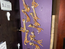 Load image into Gallery viewer, Chicken Paws
