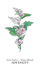 Load image into Gallery viewer, Hedgewitch Botanical Oracle
